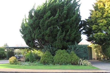 Photo of property in 209 Ikanui Road, Frimley, Hastings, 4120