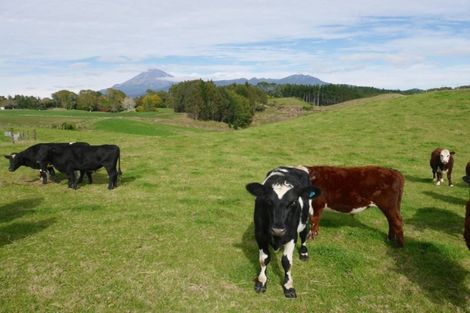Photo of property in 890 Mangorei Road, Mangorei, New Plymouth, 4371