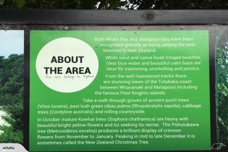 Photo of property in 2 Edgewater Place, Matapouri, Whangarei, 0173