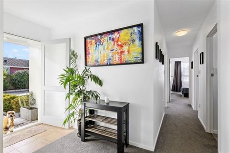 Photo of property in 19 Seafield Place, South New Brighton, Christchurch, 8062