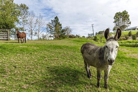 Photo of property in 100 Upper Orewa Road, Wainui, Silverdale, 0992
