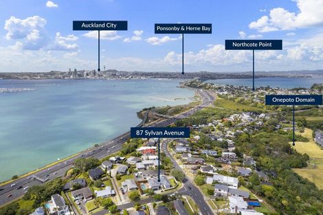 Photo of property in 87 Sylvan Avenue, Northcote, Auckland, 0627