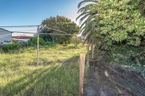 Photo of property in 101 Purnell Street, College Estate, Whanganui, 4500