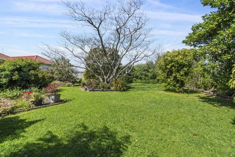 Photo of property in 17 Kimberley Road, Levin, 5571