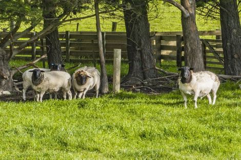 Photo of property in 2/242 Ahuriri Road, Tai Tapu, Christchurch, 7672