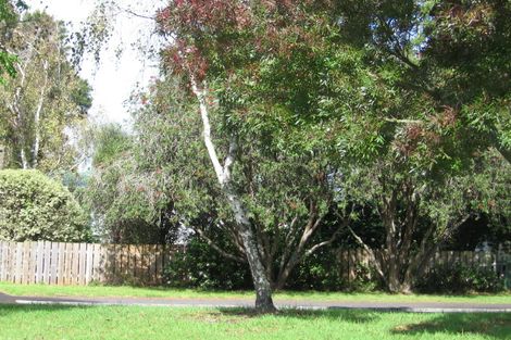 Photo of property in 59 Universal Drive, Henderson, Auckland, 0610