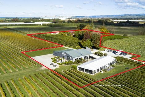 Photo of property in 166 Main Road, Matawhero, Gisborne, 4071