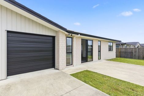 Photo of property in 97 Hinemoa Street, Levin, 5510