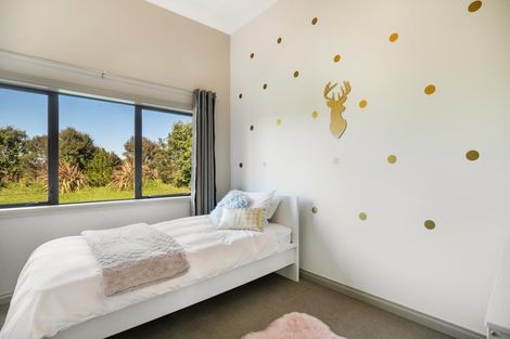 Photo of property in 113 Quinn Road, Mauku, Pukekohe, 2678