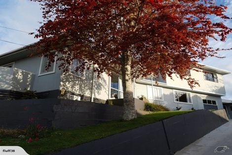 Photo of property in 8 Sardinha Place, Marfell, New Plymouth, 4310