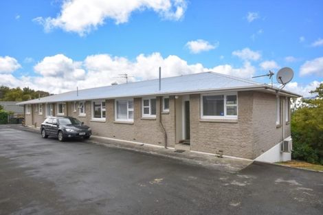 Photo of property in 92g Eglinton Road, Mornington, Dunedin, 9011
