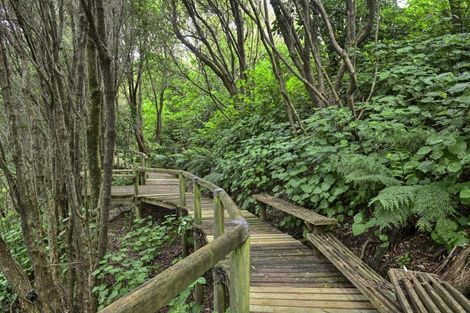 Photo of property in 41 Winifred Street, Okitu, Gisborne, 4010