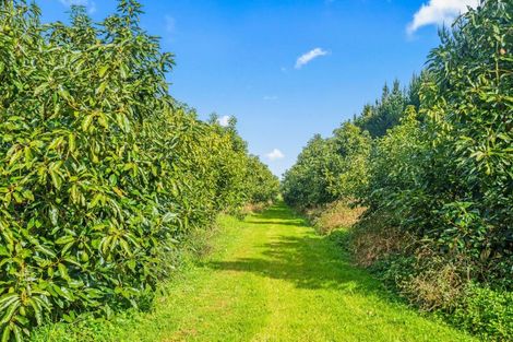 Photo of property in 4790 State Highway 12, Kaikohe, 0473
