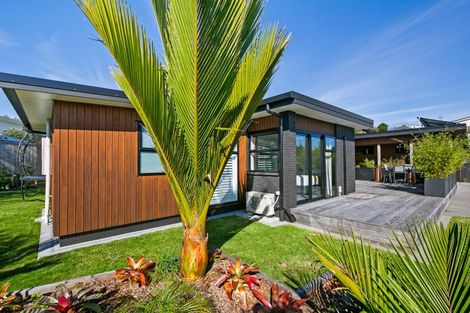 Photo of property in 5b Wesley Avenue, Frankleigh Park, New Plymouth, 4310