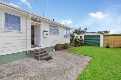 Photo of property in 8 Exeter Street, Stratford, 4332