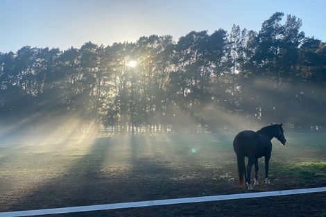 Photo of property in 353 Victoria Road, Pukemoremore, Cambridge, 3493