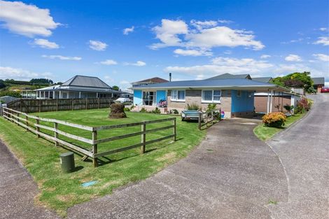 Photo of property in 66 Jellicoe Avenue, Tuakau, 2121