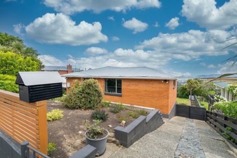 Photo of property in 14 Dalrymple Street, Pine Hill, Dunedin, 9010