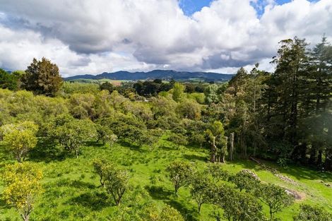 Photo of property in 325 Sandspit Road, Warkworth, 0982