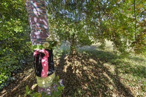 Photo of property in 53 Glengarry Road, Glen Eden, Auckland, 0602