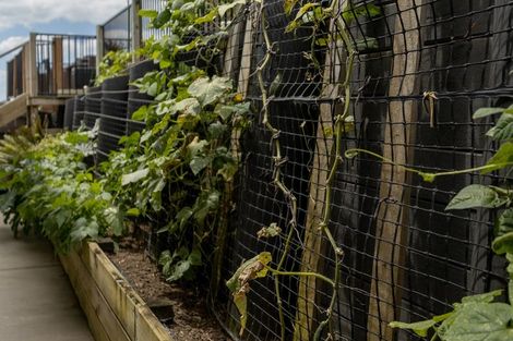 Photo of property in 13 Shoreview Close, Omokoroa, 3114