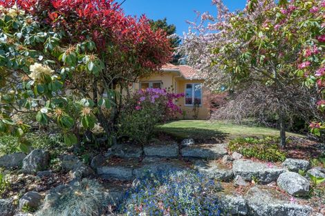 Photo of property in 23 Lynmore Avenue, Lynmore, Rotorua, 3010