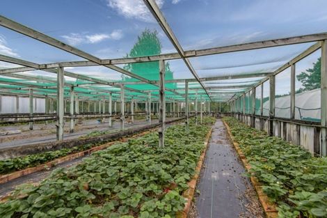 Photo of property in 80 Carters Terrace, Tinwald, Ashburton, 7700