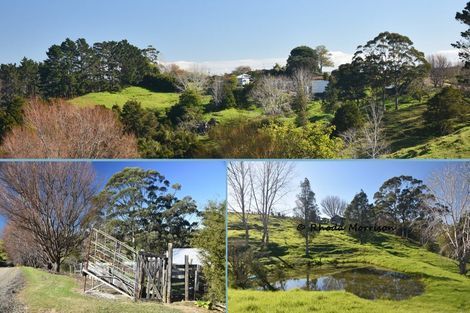 Photo of property in 330 Franklin Road, Paparoa, 0571