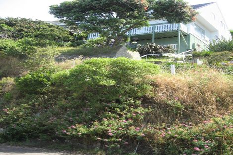 Photo of property in 63 Marewa Road, Hataitai, Wellington, 6021