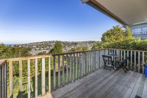 Photo of property in 43 Forfar Street, Clyde Hill, Dunedin, 9011