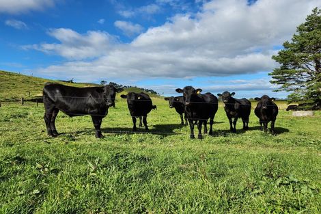 Photo of property in 144 King Road, Inglewood, 4386