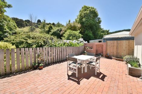 Photo of property in 157 Norwood Street, Normanby, Dunedin, 9010