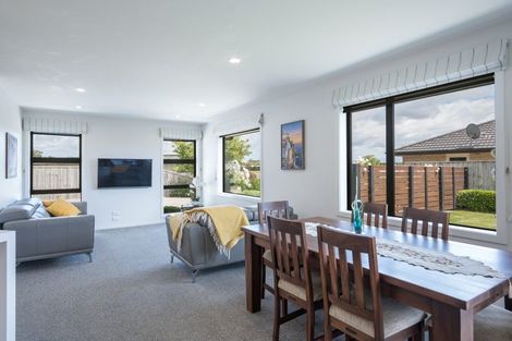 Photo of property in 13 Fallow Place, Richmond, 7020