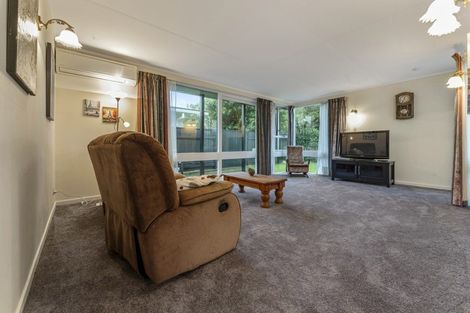 Photo of property in 11 Panako Place, Awapuni, Palmerston North, 4412