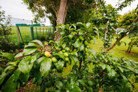 Photo of property in 329 Makirikiri Road, Crofton, Marton, 4787