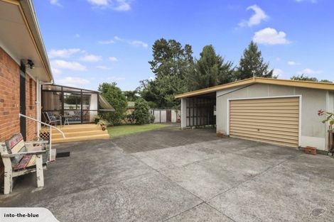 Photo of property in 64 Pine Avenue, Melville, Hamilton, 3206