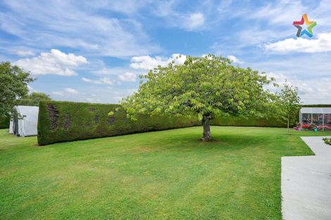 Photo of property in 224 Mill Road South, Seaward Bush, Invercargill, 9871