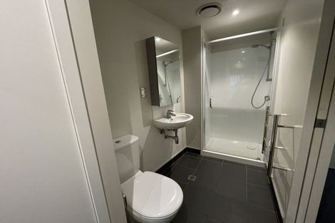Photo of property in Soho Apartments, 519/74 Taranaki Street, Te Aro, Wellington, 6011