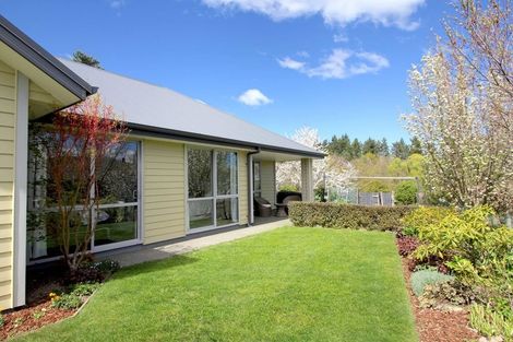 Photo of property in 7/10 Fraser Close, Hanmer Springs, 7334