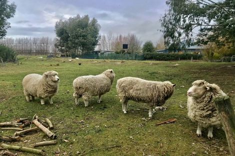 Photo of property in 53 Morven Beach Road, Morven, Waimate, 7980