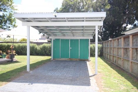 Photo of property in 135c Hakanoa Street, Huntly, 3700