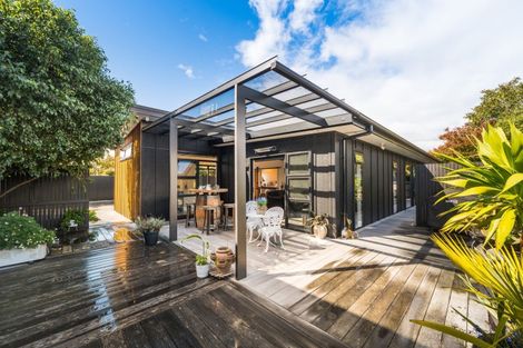 Photo of property in 44 Limbrick Street, Terrace End, Palmerston North, 4410