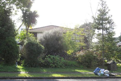 Photo of property in 51 Ray Small Drive, Pahurehure, Papakura, 2113