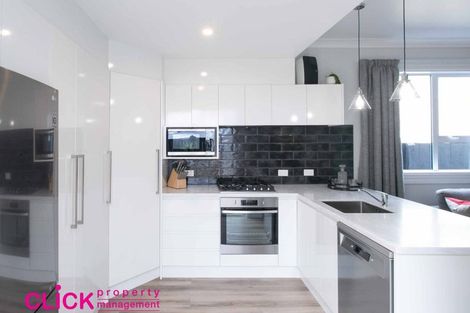 Photo of property in 24 Northumberland Street, North East Valley, Dunedin, 9010