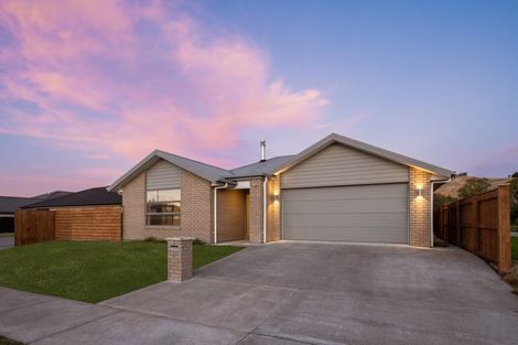 Photo of property in 19 Maeburn Street, Witherlea, Blenheim, 7201