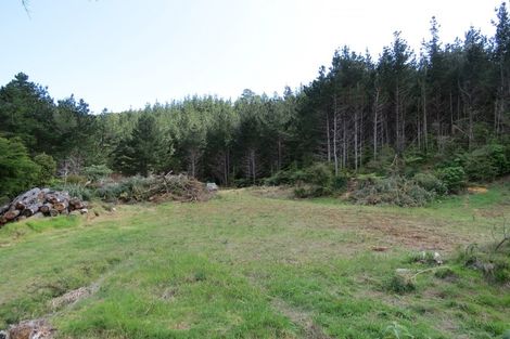 Photo of property in 154 Wood Road, Colville, Coromandel, 3584