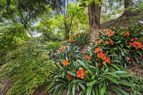 Photo of property in 483 Awahuri Feilding Road, Awahuri, Palmerston North, 4479