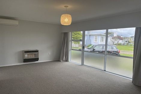 Photo of property in 18 Mersey Street, Levin, 5510