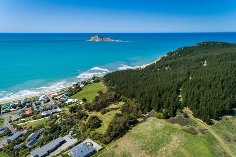 Photo of property in 197a Harper Road, Waimarama, 4294