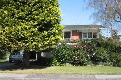 Photo of property in 20 Carlton Street, Glenholme, Rotorua, 3010